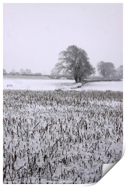 Winters day in Cowbridge Print by Glyn Evans