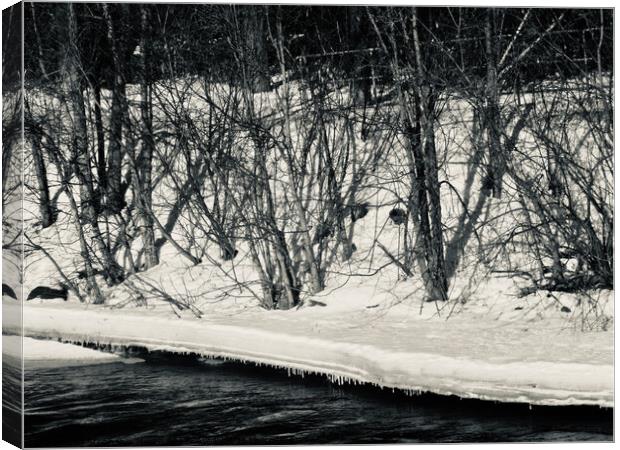 Rideau River in black and white Canvas Print by Stephanie Moore