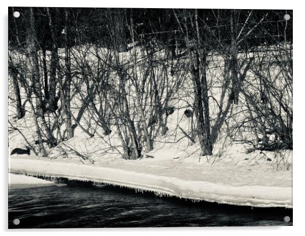Rideau River in black and white Acrylic by Stephanie Moore