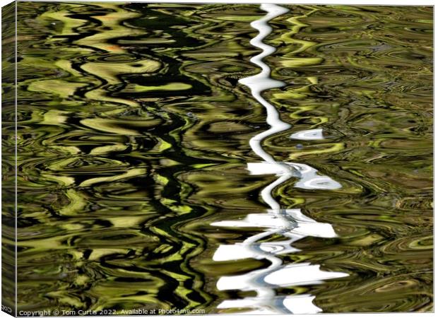 Reflection in the Water Canvas Print by Tom Curtis
