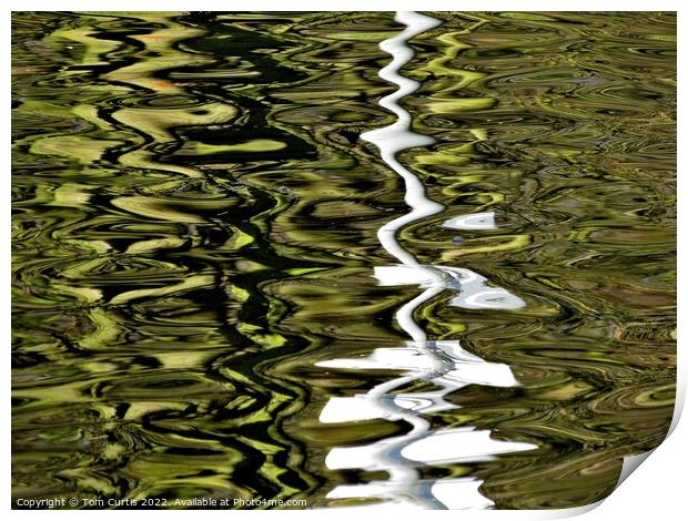 Reflection in the Water Print by Tom Curtis