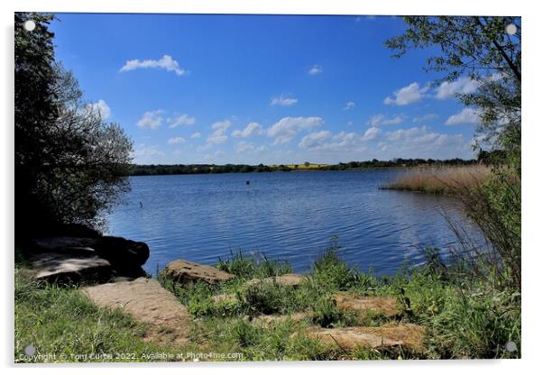 Wintersett Reservoir West Yorkshire Acrylic by Tom Curtis