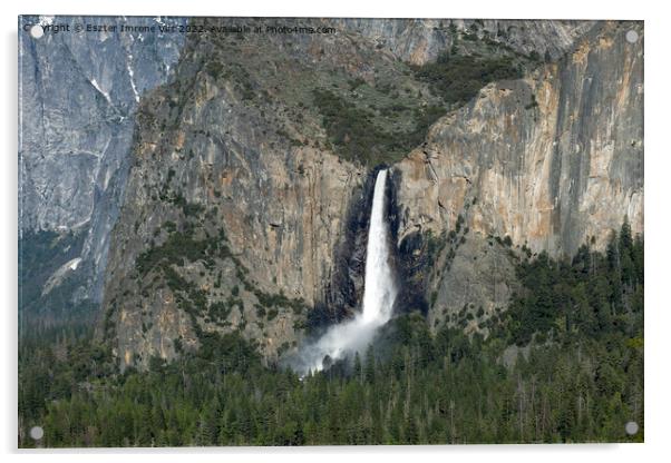 Waterfall in Yosemite National Park Acrylic by Eszter Imrene Virt