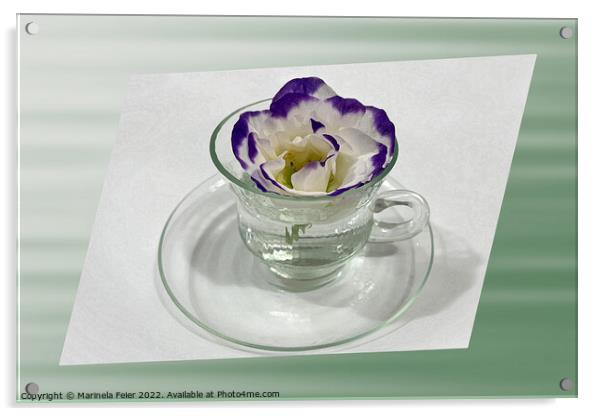 Purple white flower in a cup Acrylic by Marinela Feier