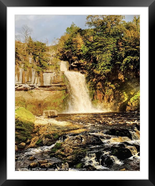 Thornton Force  Framed Mounted Print by Diana Mower
