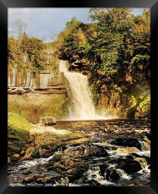 Thornton Force  Framed Print by Diana Mower