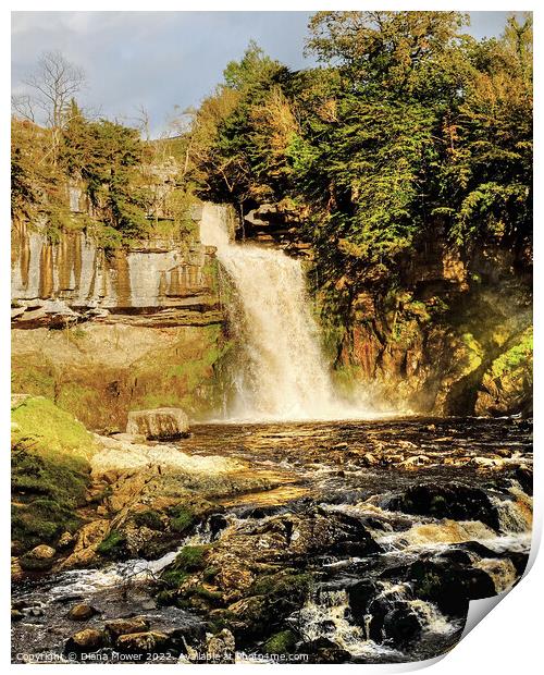 Thornton Force  Print by Diana Mower