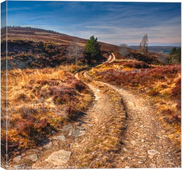 Glenlivet Mountain Track Canvas Print by OBT imaging