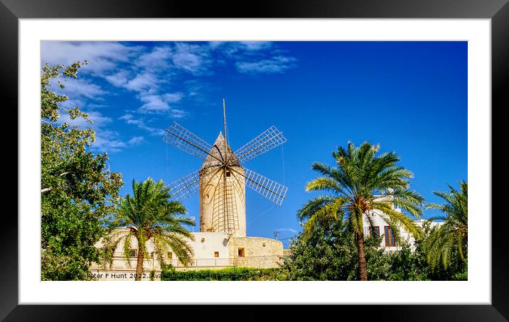 Waterfront Windmill Palma Mallorca Framed Mounted Print by Peter F Hunt