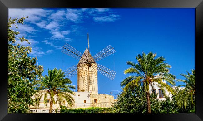 Waterfront Windmill Palma Mallorca Framed Print by Peter F Hunt