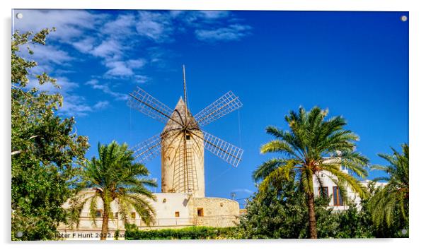 Waterfront Windmill Palma Mallorca Acrylic by Peter F Hunt