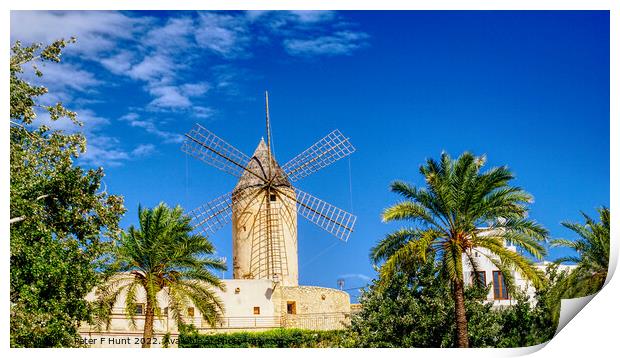 Waterfront Windmill Palma Mallorca Print by Peter F Hunt