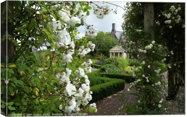 The Rose Walk in the Physic Garden Canvas Print by Glyn Evans