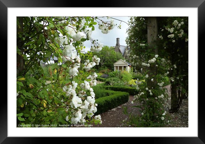 The Rose Walk in the Physic Garden Framed Mounted Print by Glyn Evans