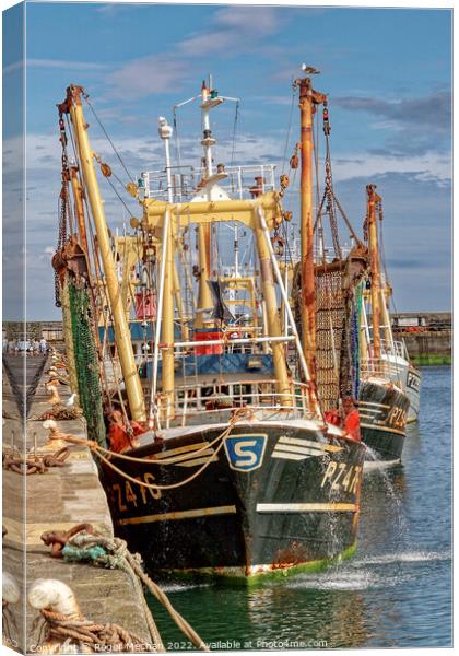 Harbour of Fishing Trawlers Canvas Print by Roger Mechan