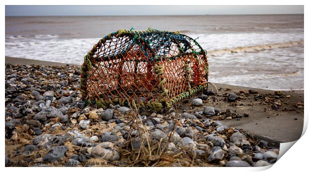 Crab fishing pot on Cromer beach, Norfolk coast Print by Chris Yaxley