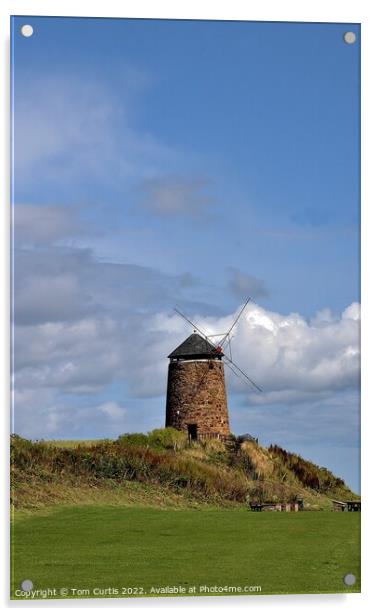 St Monans Windmill Fife Acrylic by Tom Curtis