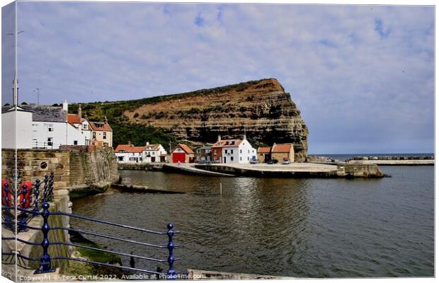 Staithes North Yorkshire Canvas Print by Tom Curtis