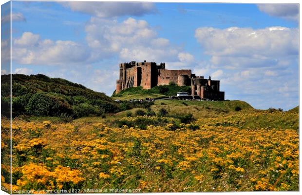 Bamburgh Castle Northumberland Canvas Print by Tom Curtis