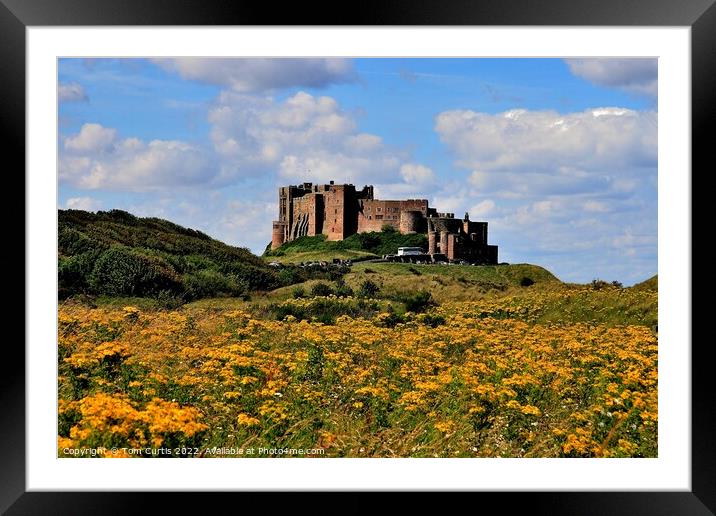 Bamburgh Castle Northumberland Framed Mounted Print by Tom Curtis