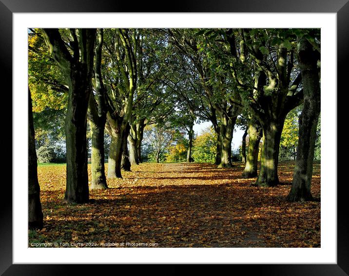 Cudworth Park South Yorkshire Framed Mounted Print by Tom Curtis