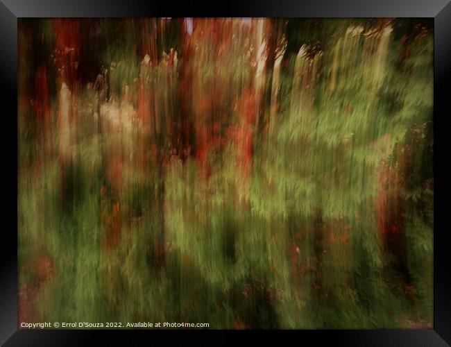 Abstract Lush Vibrant Foliage Framed Print by Errol D'Souza