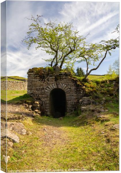 Disused mine entrance, Nenthead, Cumbria Canvas Print by Heather Athey