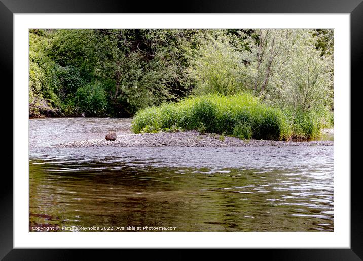 River Teme at Tenbury Wells Framed Mounted Print by Pamela Reynolds