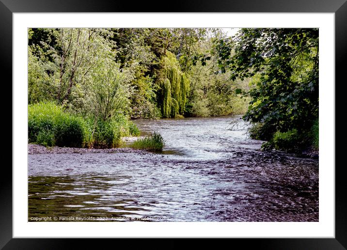 View of River Teme at Tenbury Wells Framed Mounted Print by Pamela Reynolds