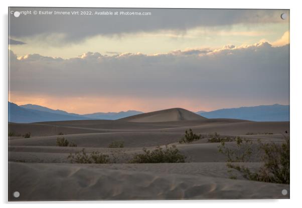 Sunset in the desert Acrylic by Eszter Imrene Virt