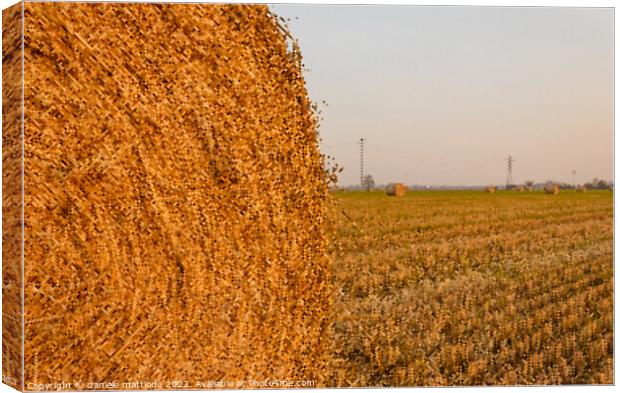 PIXEL ART on close-up of a hay cylindrical bale in Canvas Print by daniele mattioda