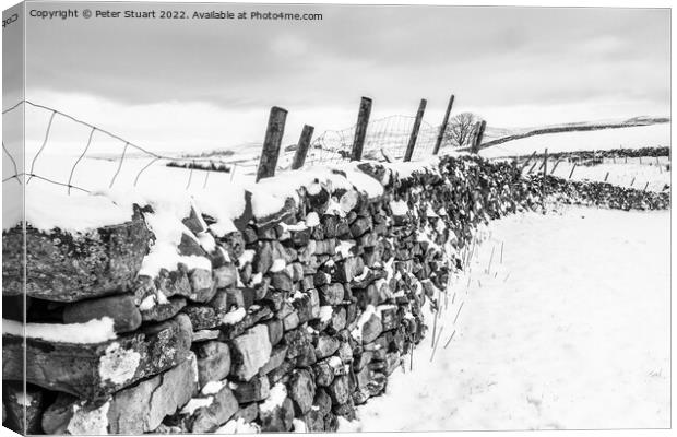 Winter snows on Pen-Y-Ghent Canvas Print by Peter Stuart