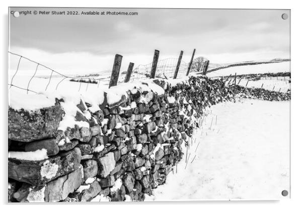 Winter snows on Pen-Y-Ghent Acrylic by Peter Stuart