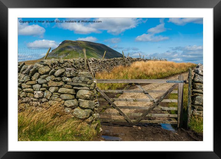Pen-y-ghent and the Yorkshire 3 Peaks Framed Mounted Print by Peter Stuart