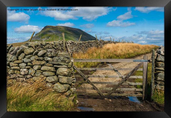 Pen-y-ghent and the Yorkshire 3 Peaks Framed Print by Peter Stuart