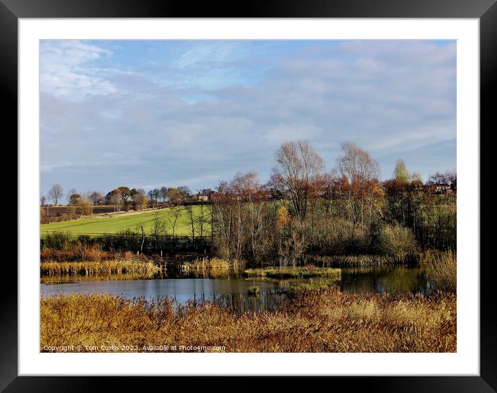 Carlton Marsh Nature Reserve Framed Mounted Print by Tom Curtis