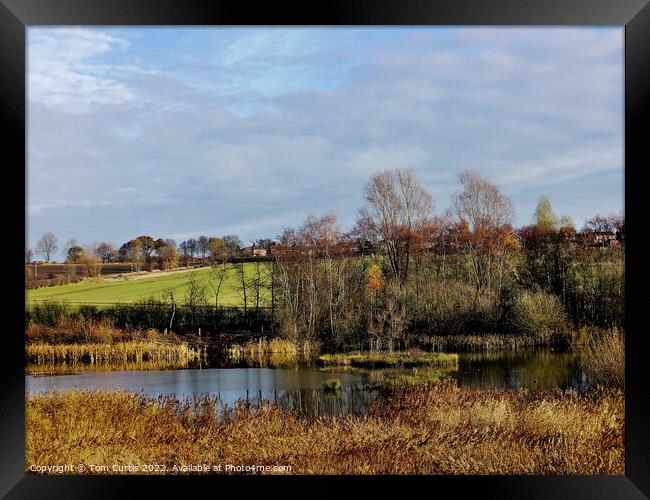 Carlton Marsh Nature Reserve Framed Print by Tom Curtis