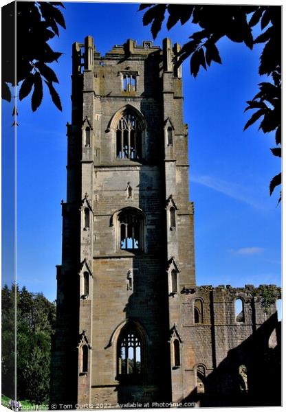 Fountains Abbey Yorkshire England Canvas Print by Tom Curtis