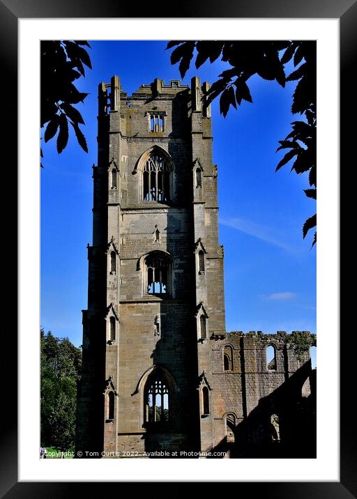 Fountains Abbey Yorkshire England Framed Mounted Print by Tom Curtis
