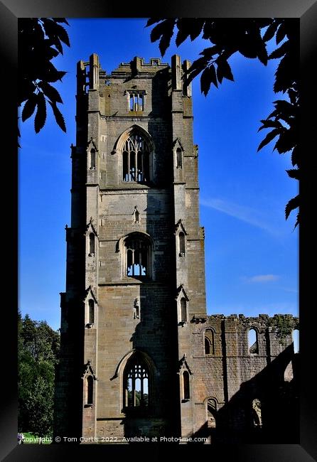 Fountains Abbey Yorkshire England Framed Print by Tom Curtis