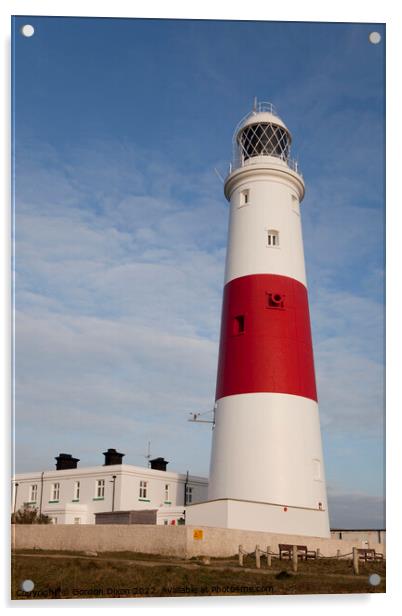 Portland Bill lighthouse, Dorset Acrylic by Gordon Dixon