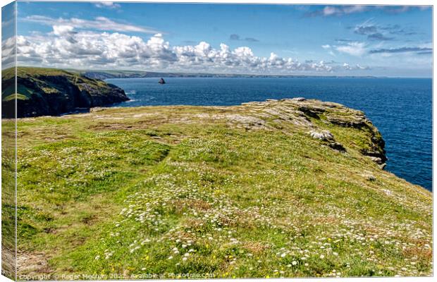 Endless beauty of North Cornwall Canvas Print by Roger Mechan