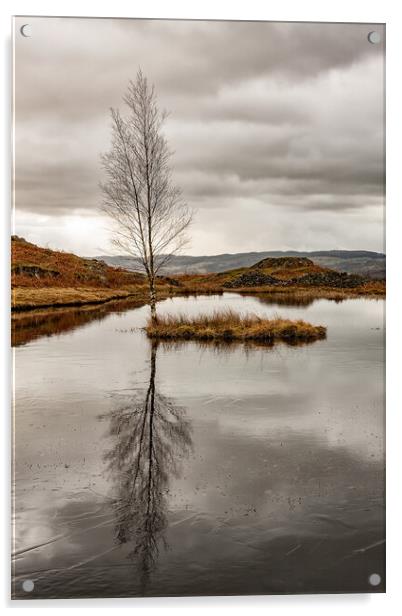 Lone Tree Acrylic by Roger Green