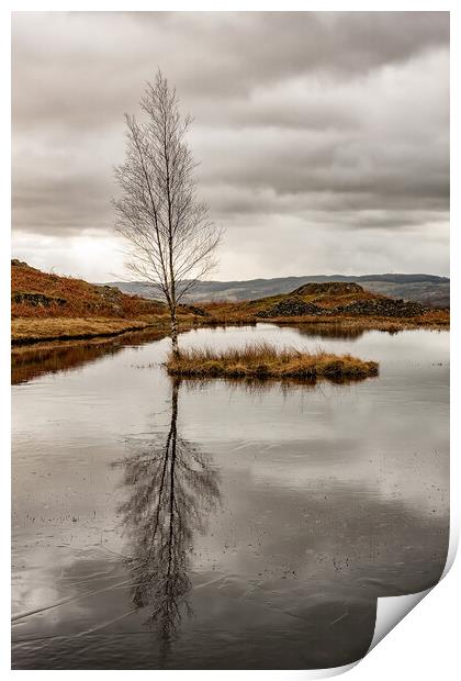 Lone Tree Print by Roger Green
