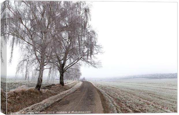 Winter countryside road, trees and pastures. Czechia Canvas Print by Sergey Fedoskin