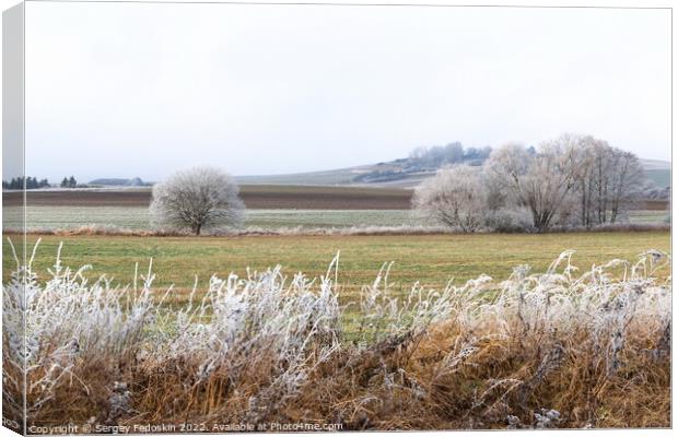Winter czech countryside, trees and pastures. Czechia Canvas Print by Sergey Fedoskin