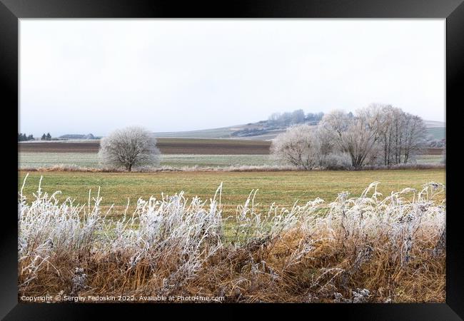 Winter czech countryside, trees and pastures. Czechia Framed Print by Sergey Fedoskin