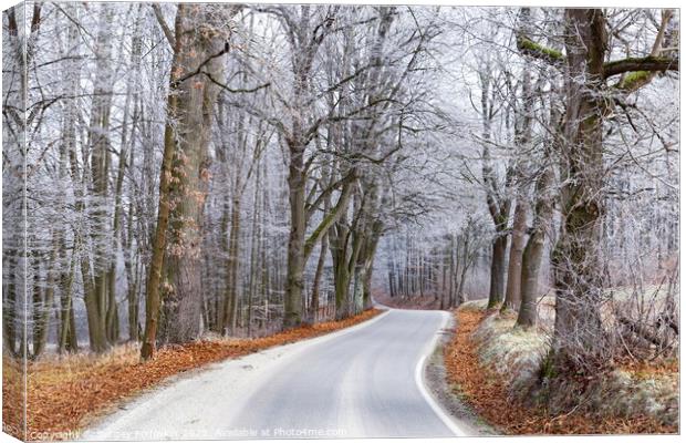 Winter road in Czech countryside Canvas Print by Sergey Fedoskin