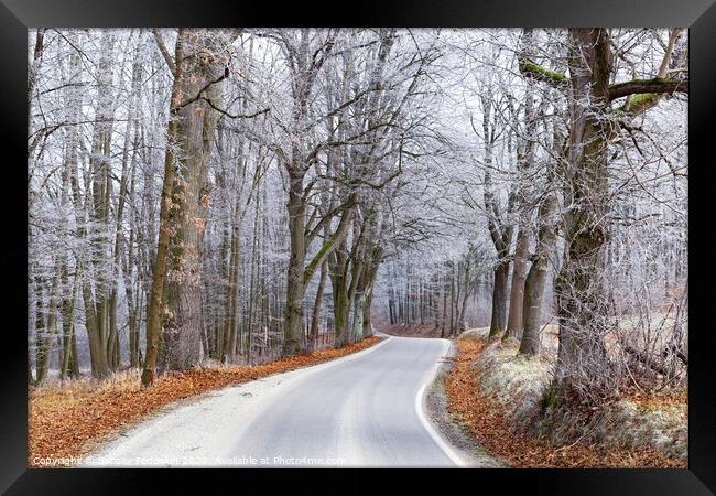 Winter road in Czech countryside Framed Print by Sergey Fedoskin