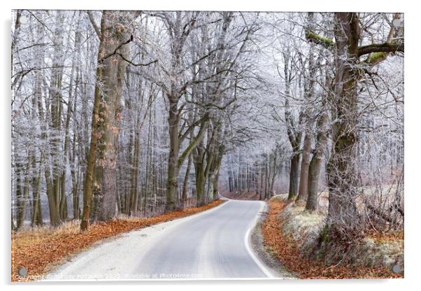 Winter road in Czech countryside Acrylic by Sergey Fedoskin